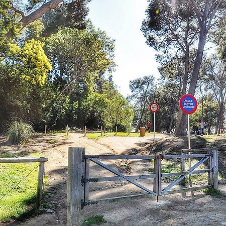 Apartamento ADIA Lloret de Mar Bagian luar foto